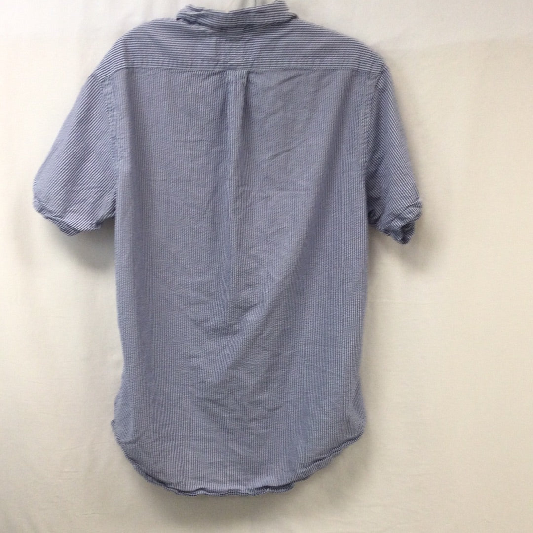 Ralph Lauren Blue Striped Button Up Shirt