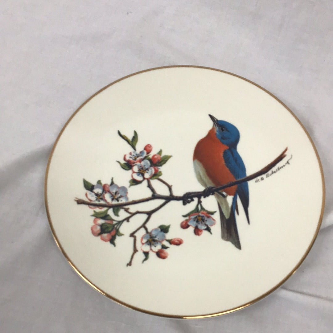 Avon Bluebrid Blue Cardinal Songbrid Plate